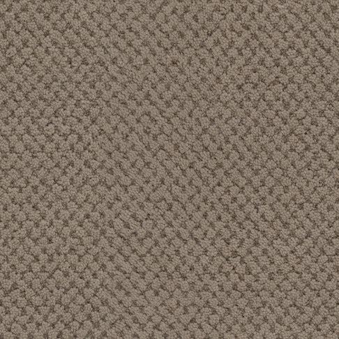 Masland Carpets La Parade Walnut Masland