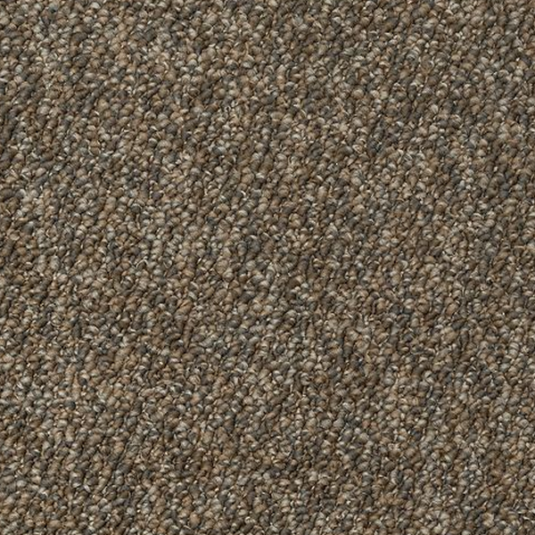 Mohawk Carpet Enduring Amazement Ghost Town Mohawk