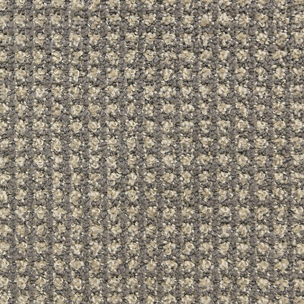 Masland Carpets Alpha Grey Matter Masland