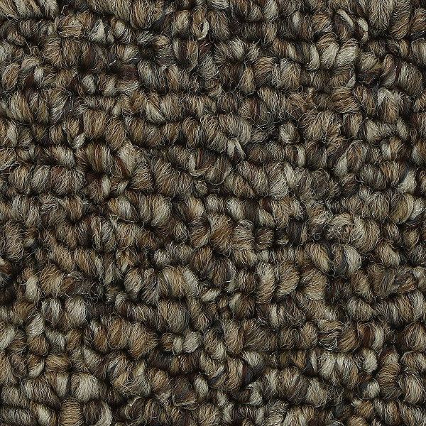 Horizon Carpet Pure Admiration 15 Copper Tones Mohawk
