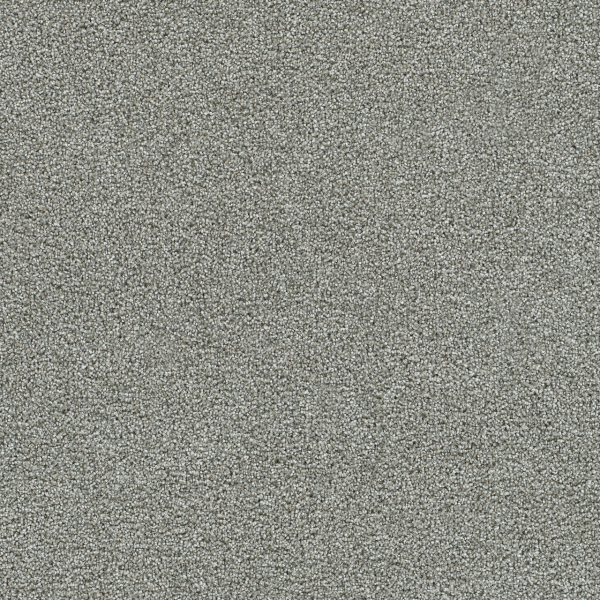 Dreamweaver Carpet Clearwater I Creek Bend DREAMWEAVER