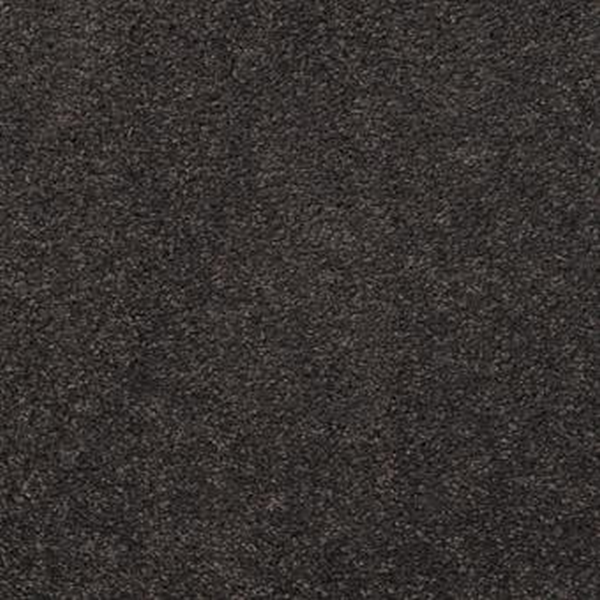 Masland Carpets Embrace Bastille Masland