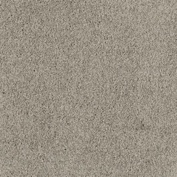 Masland Carpets Miami Pirates Cove Masland