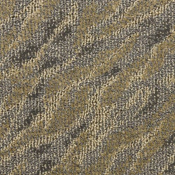 Masland Carpets Gamma Pulse Masland