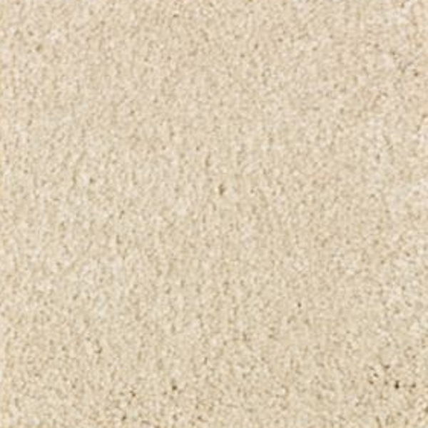 Mohawk Carpet Elegant Appeal III Salutation Mohawk