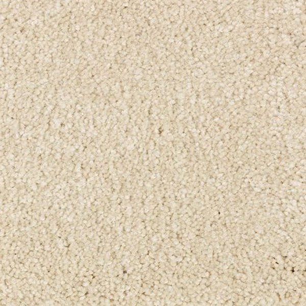 Mohawk Carpet Elegant Appeal I 12' Salutation Mohawk