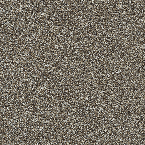 Dreamweaver Carpet Captivating I Dark Truffle DREAMWEAVER