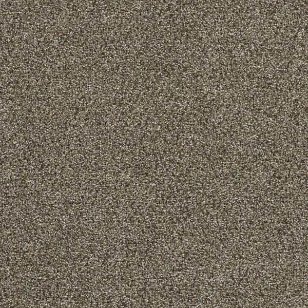 Dreamweaver Carpet Clearwater III Dark Truffle DREAMWEAVER