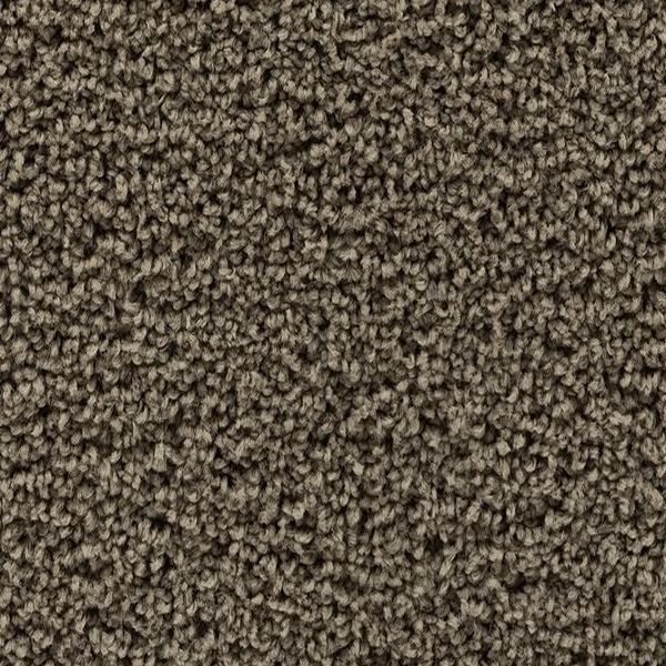 Horizon Carpet Winning Hand III Pathfinder Mohawk