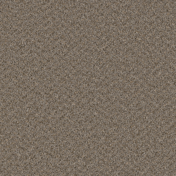 Dreamweaver Carpet Broadcast Plus Cinder DREAMWEAVER
