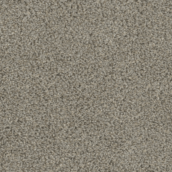 Dreamweaver Carpet Tracker Cinder DREAMWEAVER