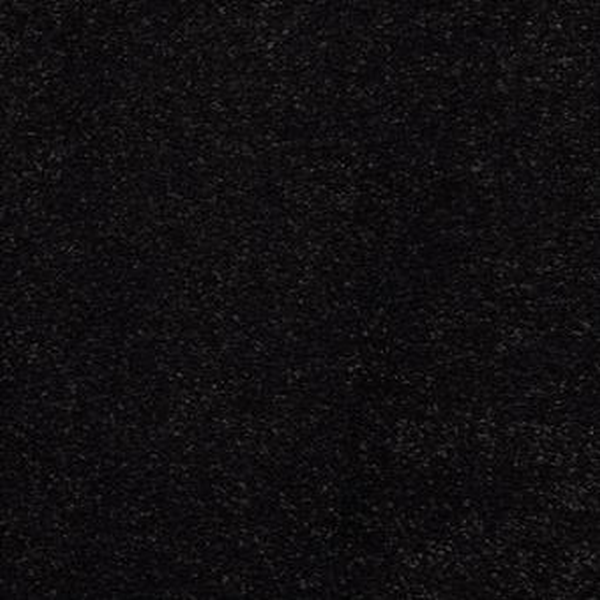 Masland Carpets Embrace Black Bean Masland