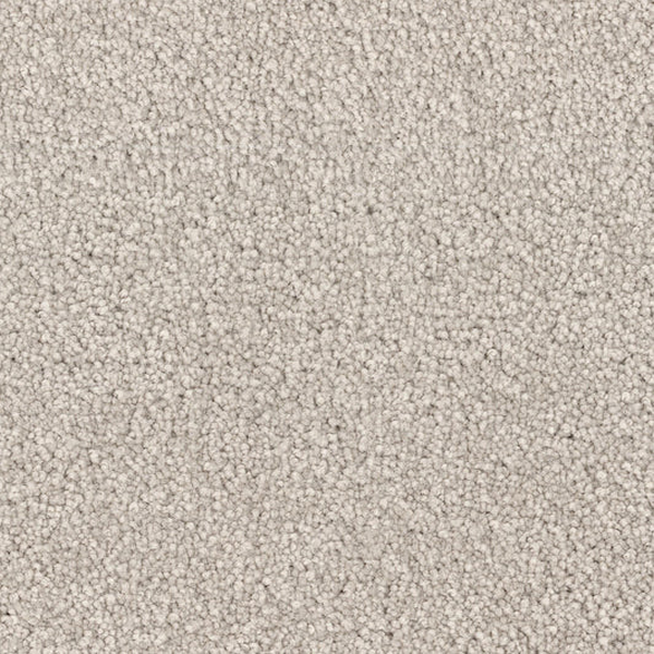 Dixie Home Spring Break Sand Dollar