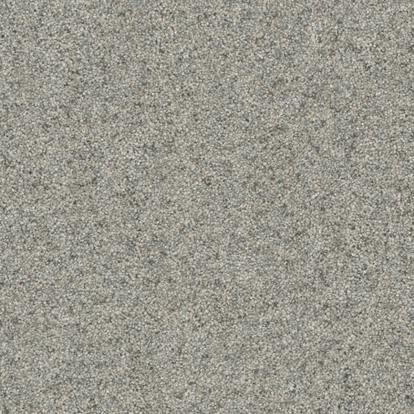 Dreamweaver Carpet Astounding I Nordic Mist DREAMWEAVER