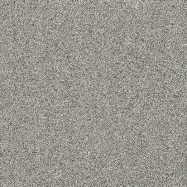 Dreamweaver Carpet Astounding II Nordic Mist DREAMWEAVER