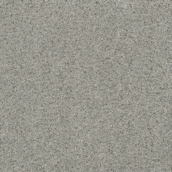 Dreamweaver Carpet Astounding III Nordic Mist DREAMWEAVER