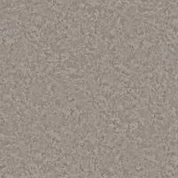 Phenix Carpets Aviara Resort PHENIX