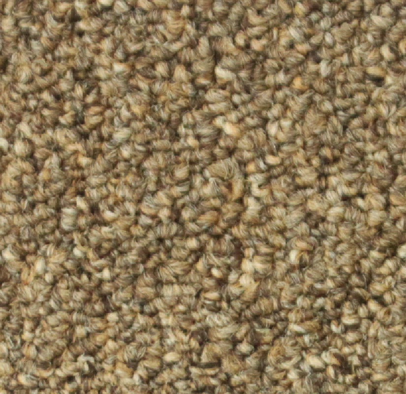 Aladdin Commercial Scholarship II 26 Sienna Mohawk