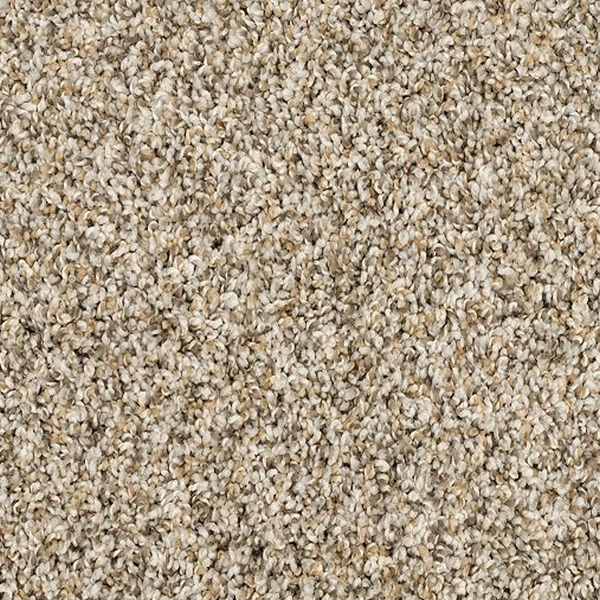 Mohawk Carpet Purrsonality II Soapstone Mohawk