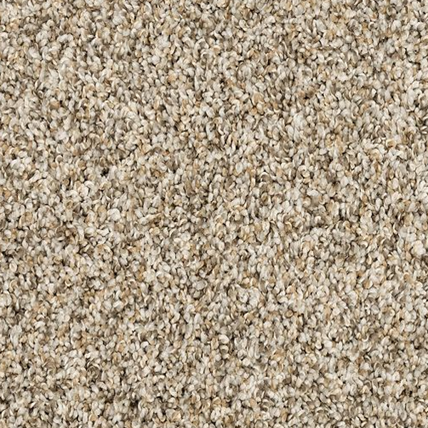 Mohawk Carpet Canine Chic Soapstone Mohawk