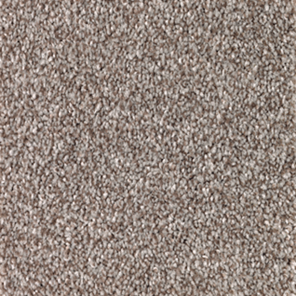 Mohawk Carpet True Unity Mystic Mohawk