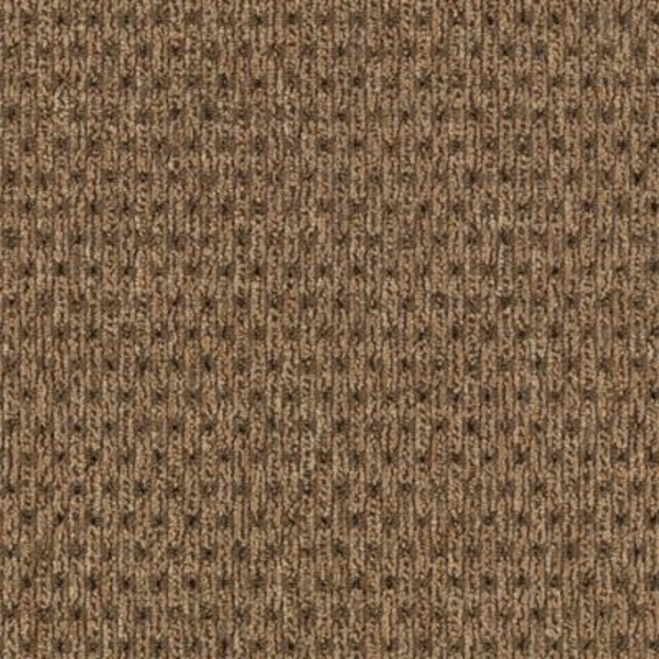 Aladdin Commercial True Form Textural Beige Mohawk