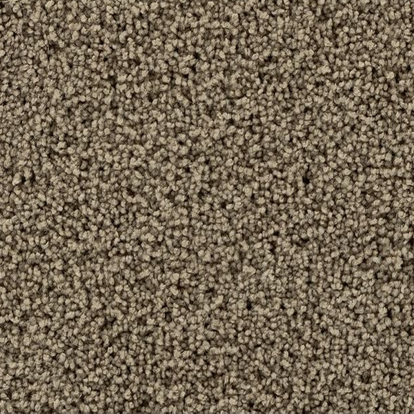 Mohawk Carpet Gentle Path Salutation Mohawk