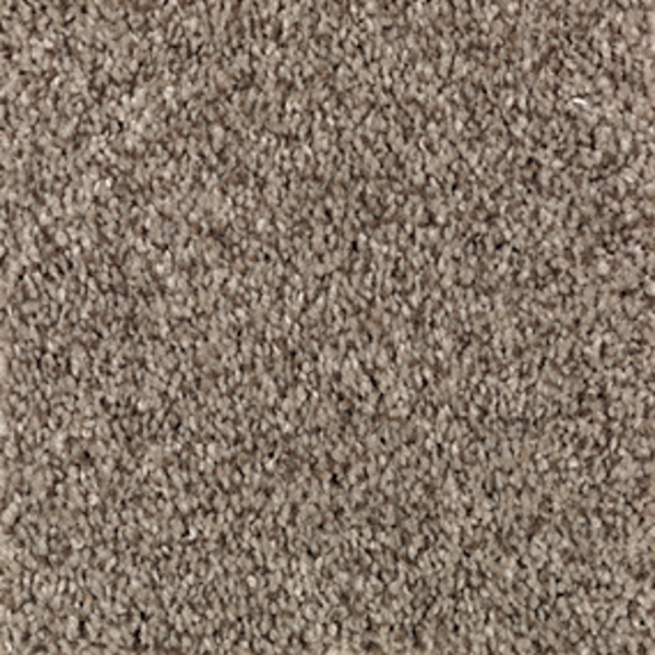 Mohawk Carpet Tonal Chic II Truffle Mohawk