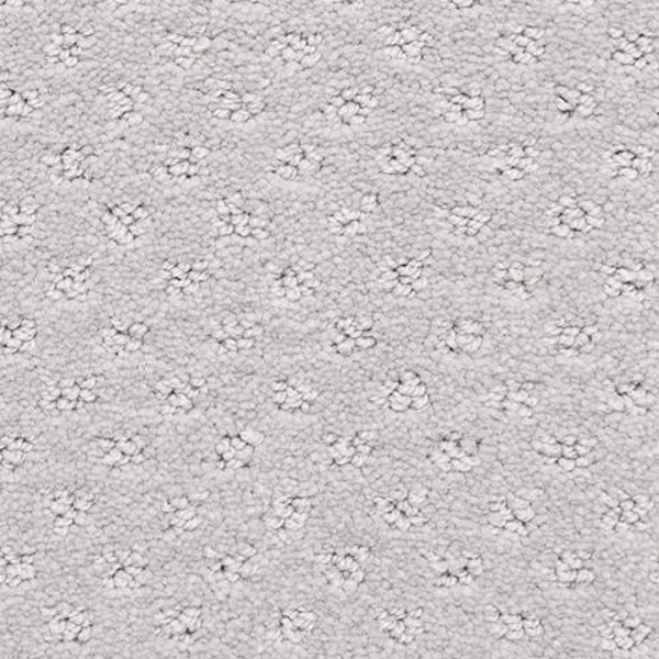 Dixie Home Dreamer Grullo