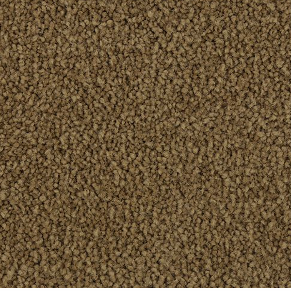 Horizon Carpet Coastal Fashion II Wild Cattail Mohawk