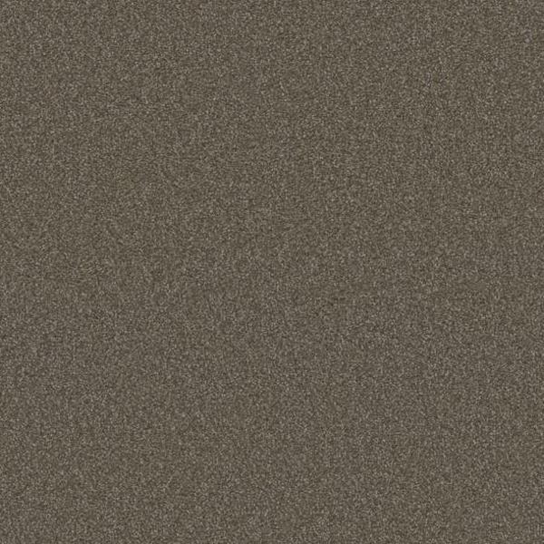 Phenix Carpets Amarillo Pioneer PHENIX