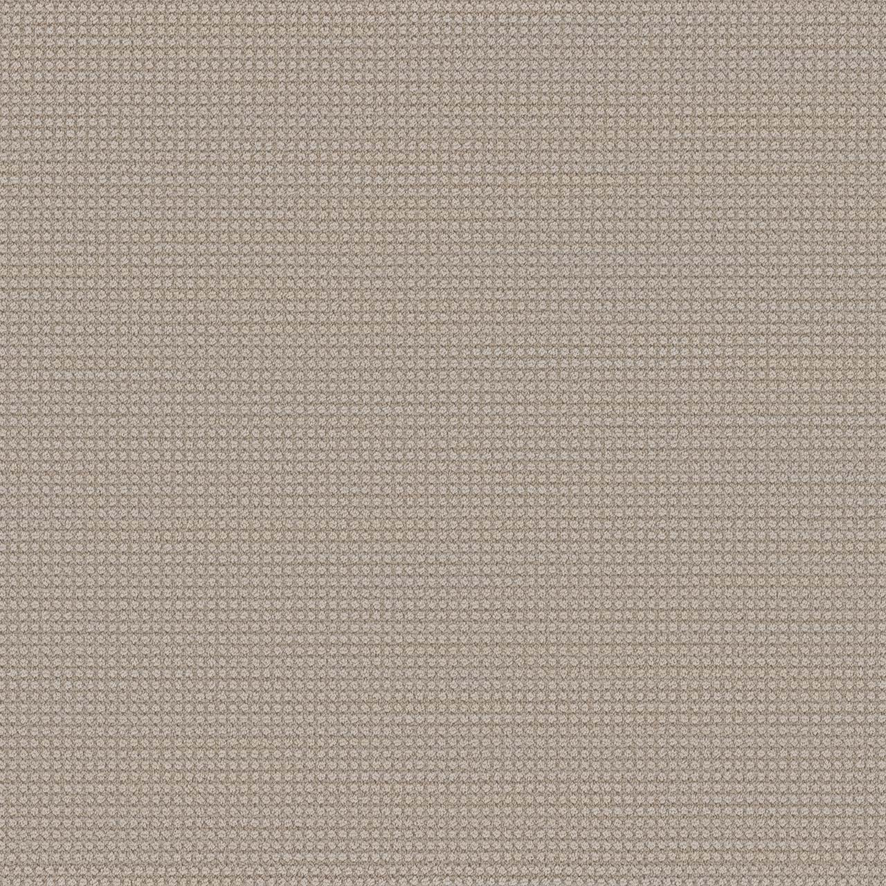 DW Select Carpet Montreal Lions Bay DREAMWEAVER