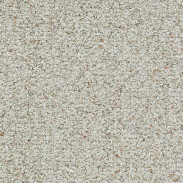 Masland Carpets St Augustine Tenacious Masland