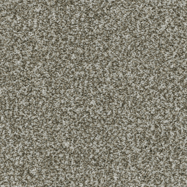 Dreamweaver Carpet Brazen I Clove DREAMWEAVER