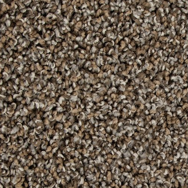 Mohawk Carpet Color Fusion I Driftwood Mohawk