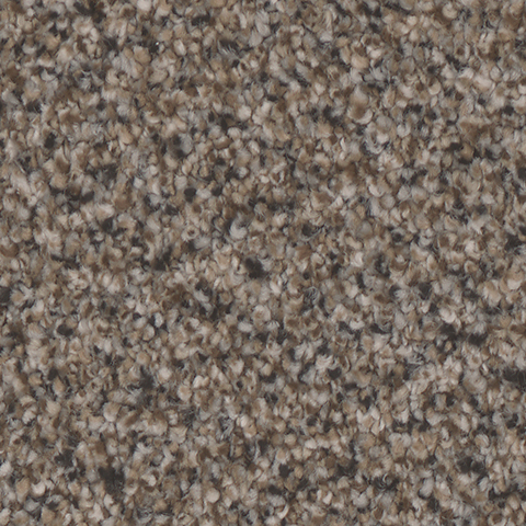 Tarkett Home Carpets Montecito Stately LEXMARK