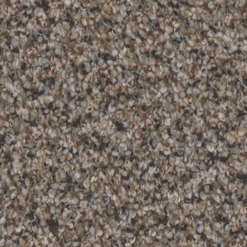 Tarkett Home Carpets Riviera Stately LEXMARK