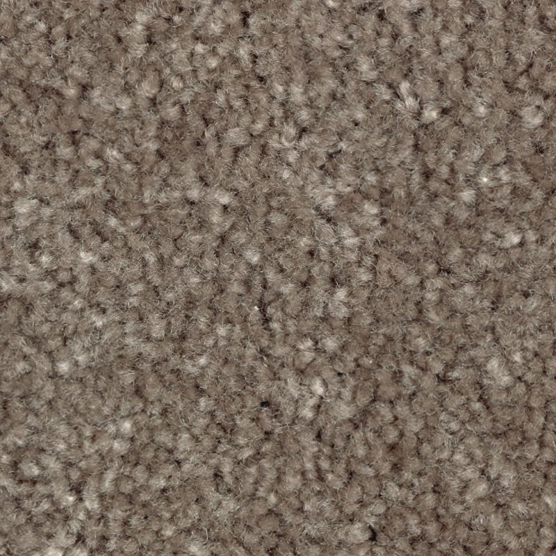 Mohawk Carpet Classical Design I 12' Coco Mocha Mohawk