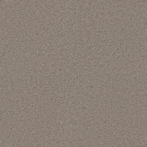 Dreamweaver Carpet Exceptional II Mineral DREAMWEAVER