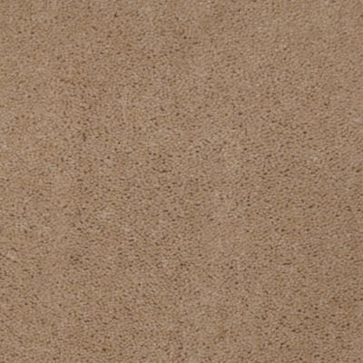 Aladdin Carpet Accelerator Plus Toffee MISSING