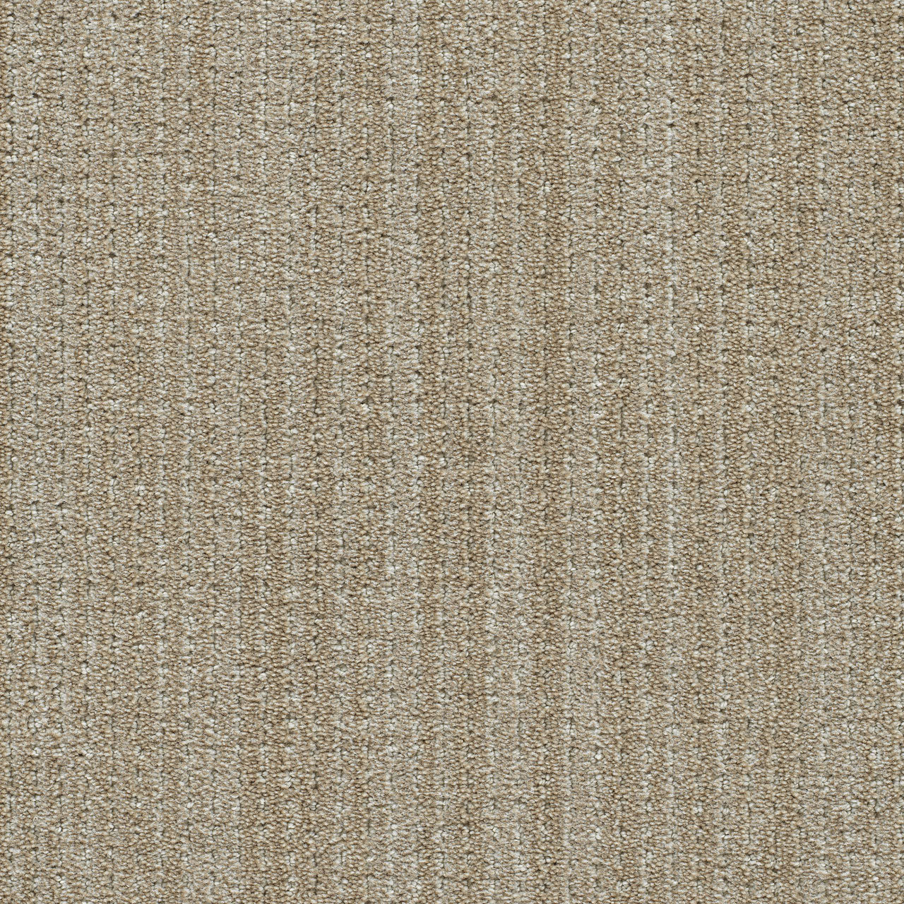 DW Select Carpet Davos II Elk Point DREAMWEAVER