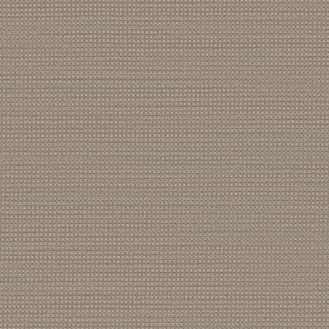 DW Select Carpet Montreal II Elk Point DREAMWEAVER