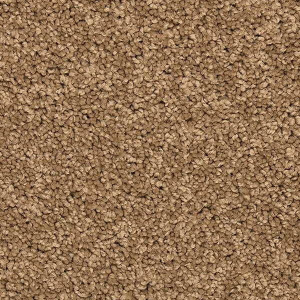 Mohawk Carpet Vitalize I Dock Mohawk