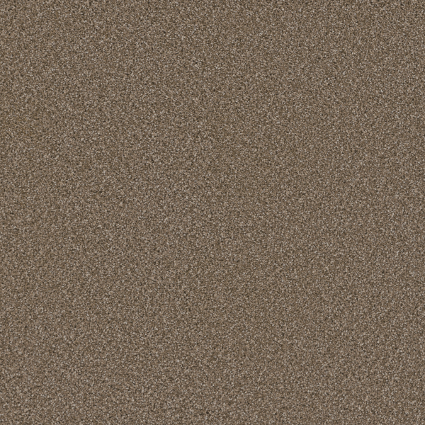 Dreamweaver Carpet Cosmopolitan II Acorn DREAMWEAVER