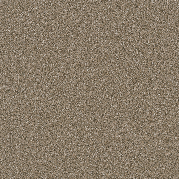 Dreamweaver Carpet Dazzling Acorn DREAMWEAVER