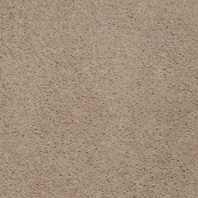 Aladdin Carpet Accelerator Plus Barn Swallow MISSING