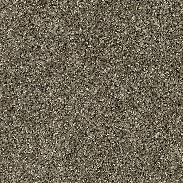 Mohawk Carpet Sophisticated Tones Brentwood Mohawk
