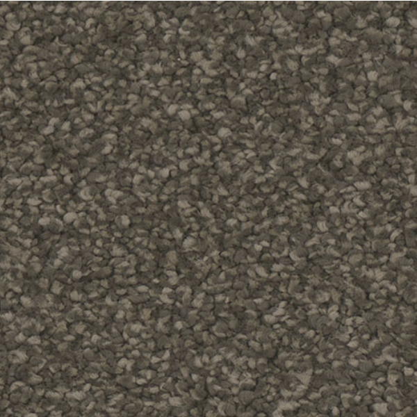 Tarkett Home Carpets Enamour Ravish LEXMARK