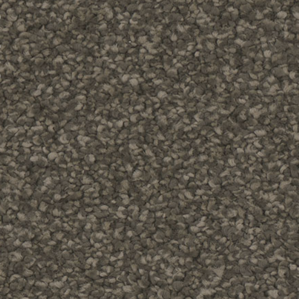 Tarkett Home Carpets Hypnotize Ravish LEXMARK