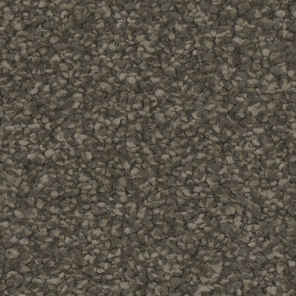 Tarkett Home Carpets Mesmerize Ravish LEXMARK